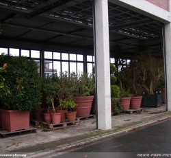 Lagerung von Pflanzen