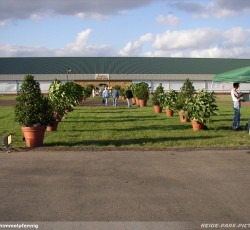 Tropical Brasil Party