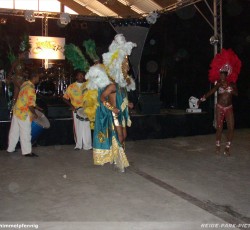 Tropical Brasil Party