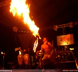 Tropical Brasil Party