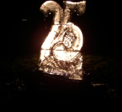 Tropical Brasil Party