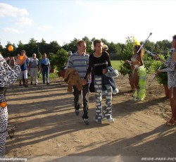 Tropical Brasil Party