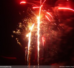 Tropical Brasil Party