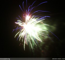 Tropical Brasil Party