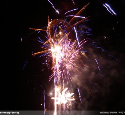 Tropical Brasil Party