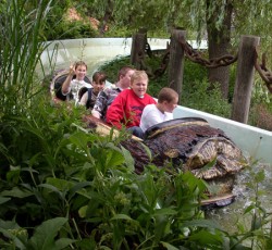 Wildwasserbahn I