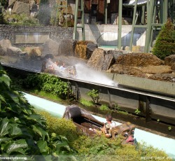 Wildwasserbahn II