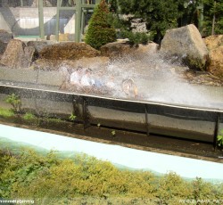 Wildwasserbahn II