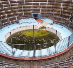 Ehemalige Alligatorenarena