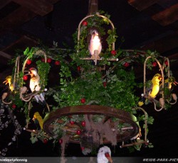 Elektronisches Vogeltheater