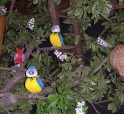 Elektronisches Vogeltheater