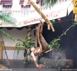 Dschungel Show