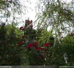 Schiffschaukel Santa Maria