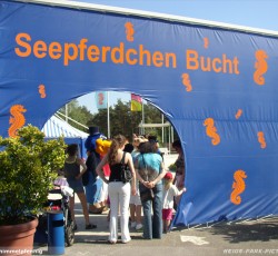 Seepferdchenbucht