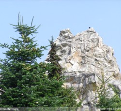 Theming Mountain Rafting