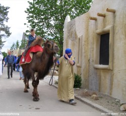 Desert Race Eröffnung
