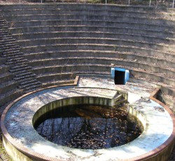 Ehemalige Alligatorenarena