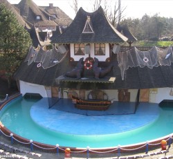 Seelöwen- und Papageienshow