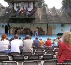 Seelöwenshow