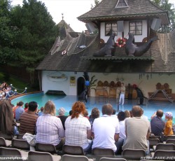Seelöwenshow