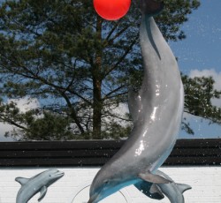Delfinshow