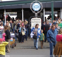 Delphinarium
