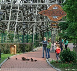 Entenfamilie auf Colossos