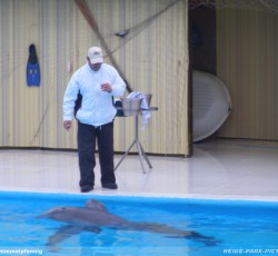 Letzte Delfinshow