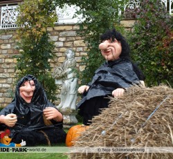 Halloween Nights