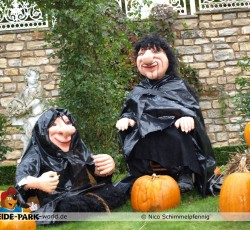 Halloween Nights