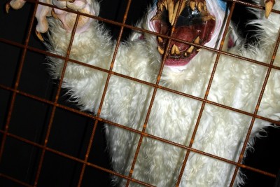 Sanatorium Bergfrieden