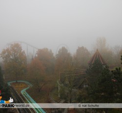 Blick über den nebeligen Park