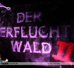 Der verfluchte Wald 2