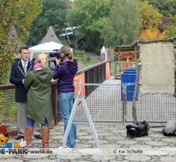 Die größte Kettenreaktion