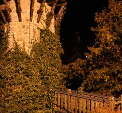 ehemalige Wildwasserbahn 2