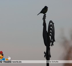 Holl&auml;ndischer Stadtteil