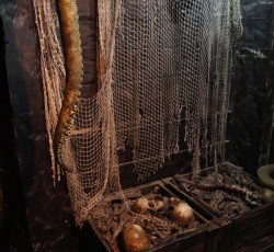 Krake lebt! Backstage