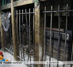 Krake lebt! Backstage