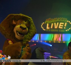 Madagascar Live!