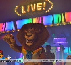Madagascar Live!