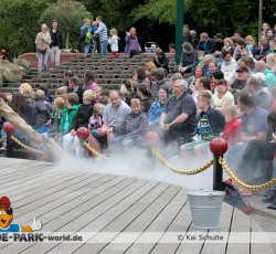 Premiere - Das Gold von Port Royal 2