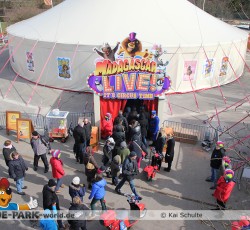 Premiere Madagascar Live!