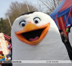 Premiere Madagascar Live!