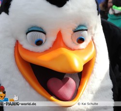 Premiere Madagascar Live!