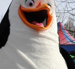 Premiere Madagascar Live!