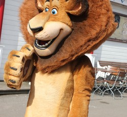 Premiere Madagascar Live!