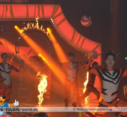 Premiere Madagascar Live!