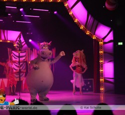 Premiere Madagascar Live!