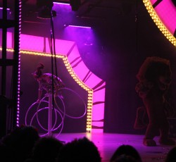 Premiere Madagascar Live!