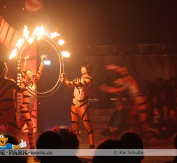 Premiere Madagascar Live!